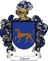 Escudo del apellido Darvín