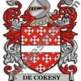 Escudo del apellido De_cokesy