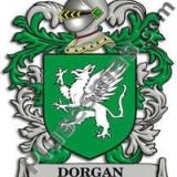 Escudo del apellido Dorgan