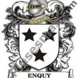 Escudo del apellido Enquy