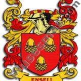 Escudo del apellido Ensell