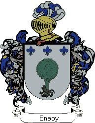 Escudo del apellido Enaoy