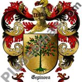 Escudo del apellido Espinosa