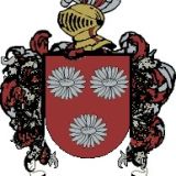 Escudo del apellido Figamo