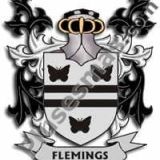 Escudo del apellido Flemings