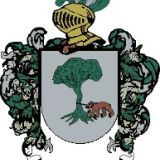 Escudo del apellido Angumedo