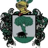 Escudo del apellido Fransisi