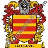 Escudo del apellido Galleye