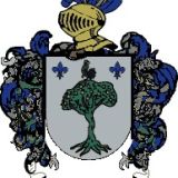 Escudo del apellido Galligo