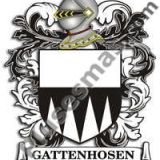 Escudo del apellido Gattenhosen