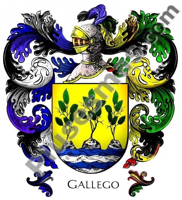 Escudo del apellido Gallego