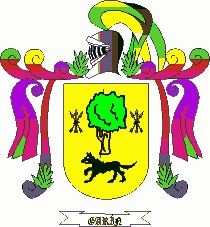 Escudo del apellido Garín