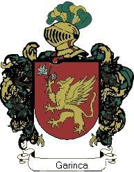 Escudo del apellido Garinca