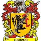 Escudo del apellido Herzog