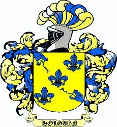 Escudo del apellido Holguin