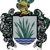 Escudo del apellido Junco