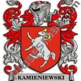 Escudo del apellido Kamieniewski