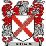 Escudo del apellido Kildare