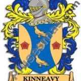 Escudo del apellido Kinneavy