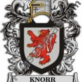 Escudo del apellido Knorr