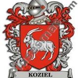 Escudo del apellido Koziel