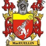 Escudo del apellido Maceuellin