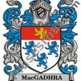 Escudo del apellido Macgadhra