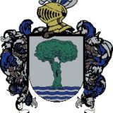 Escudo del apellido Matamoros