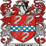 Escudo del apellido Meegan