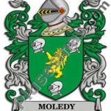 Escudo del apellido Moledy
