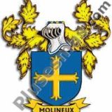Escudo del apellido Molineux