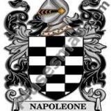 Escudo del apellido Napoleone