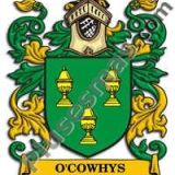 Escudo del apellido Ocowhys