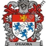 Escudo del apellido Ogaora
