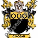 Escudo del apellido Ohogan