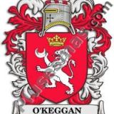 Escudo del apellido Okeggan