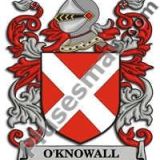 Escudo del apellido Oknowall