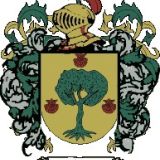 Escudo del apellido Olivo