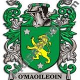 Escudo del apellido Omaoileoin