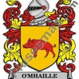 Escudo del apellido Omhaille