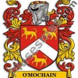 Escudo del apellido Omochain