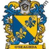 Escudo del apellido Oseaghda