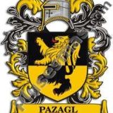 Escudo del apellido Pazagl