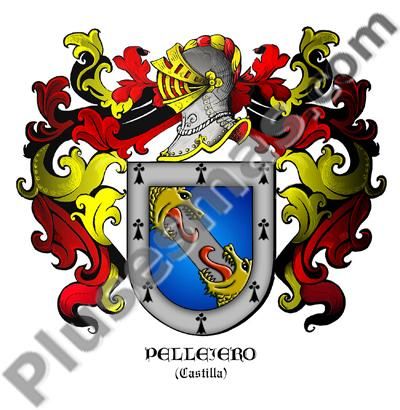 Escudo del apellido Pellejero