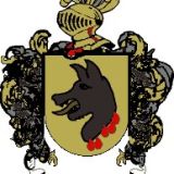 Escudo del apellido Puigbó