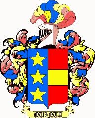 Escudo del apellido Quinta