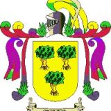 Escudo del apellido Avenia