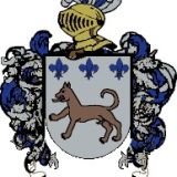 Escudo del apellido Salamo