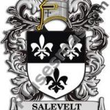 Escudo del apellido Salevelt