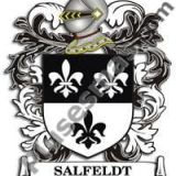 Escudo del apellido Salfeldt
